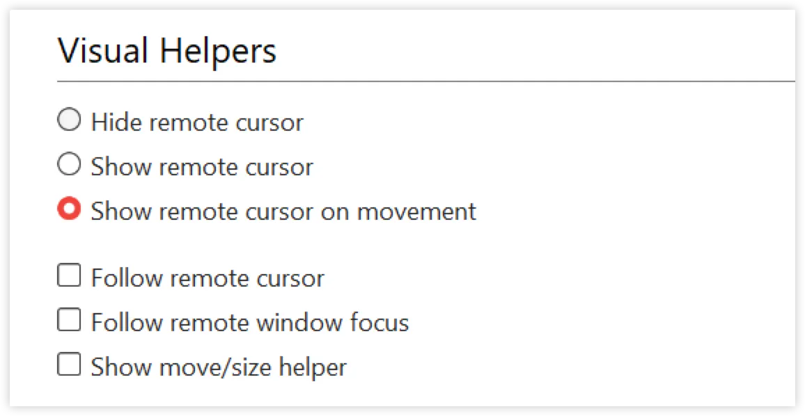 Options for visual helpers including showing remote cursor and following window focus.